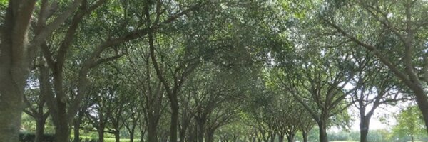 SugarLandTalk Profile Banner