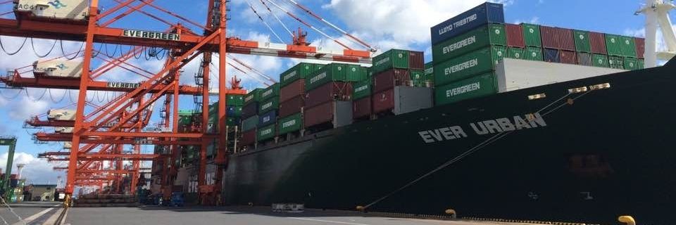 rtree☂️🛡️ banner