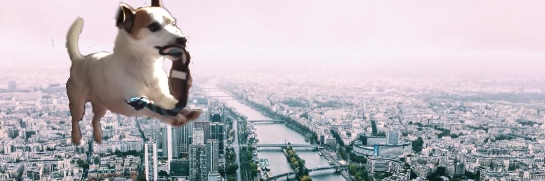 Physiokerry's profile banner image