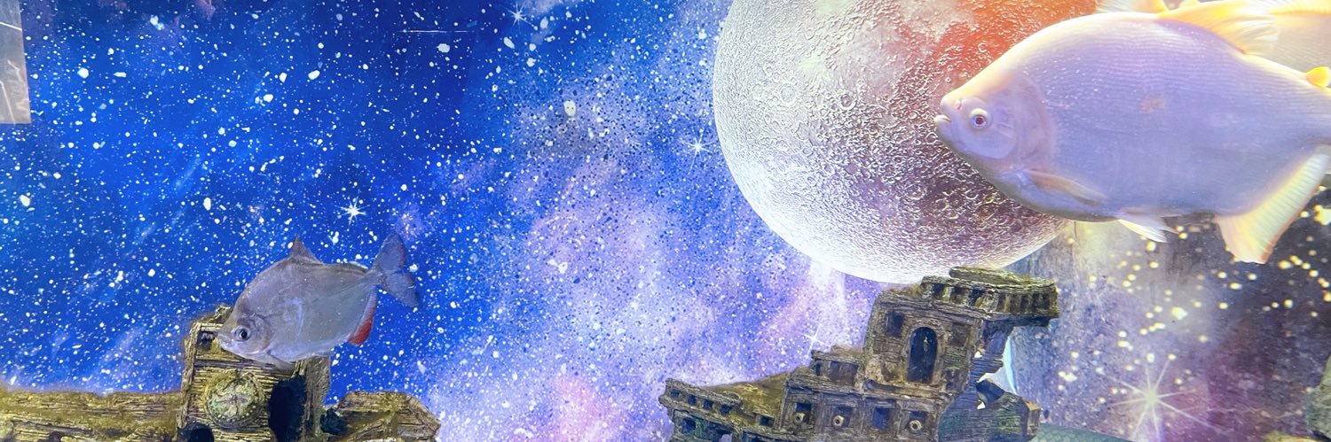 turarara's profile banner image
