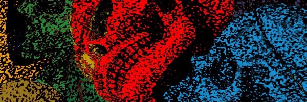 BioAnthNews Profile Banner