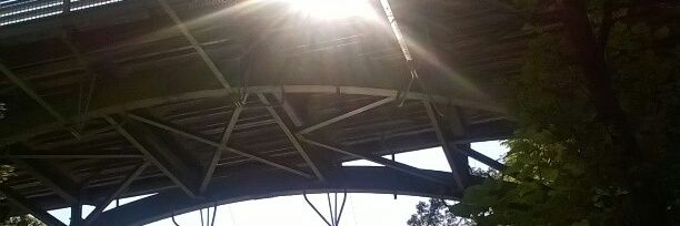 RandomWhovian banner