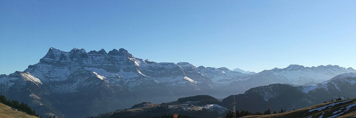 Nicolas Bucher banner