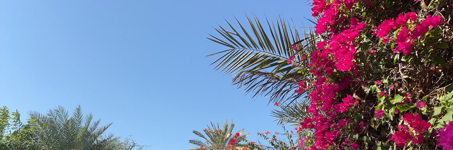 wallaa208's profile banner image