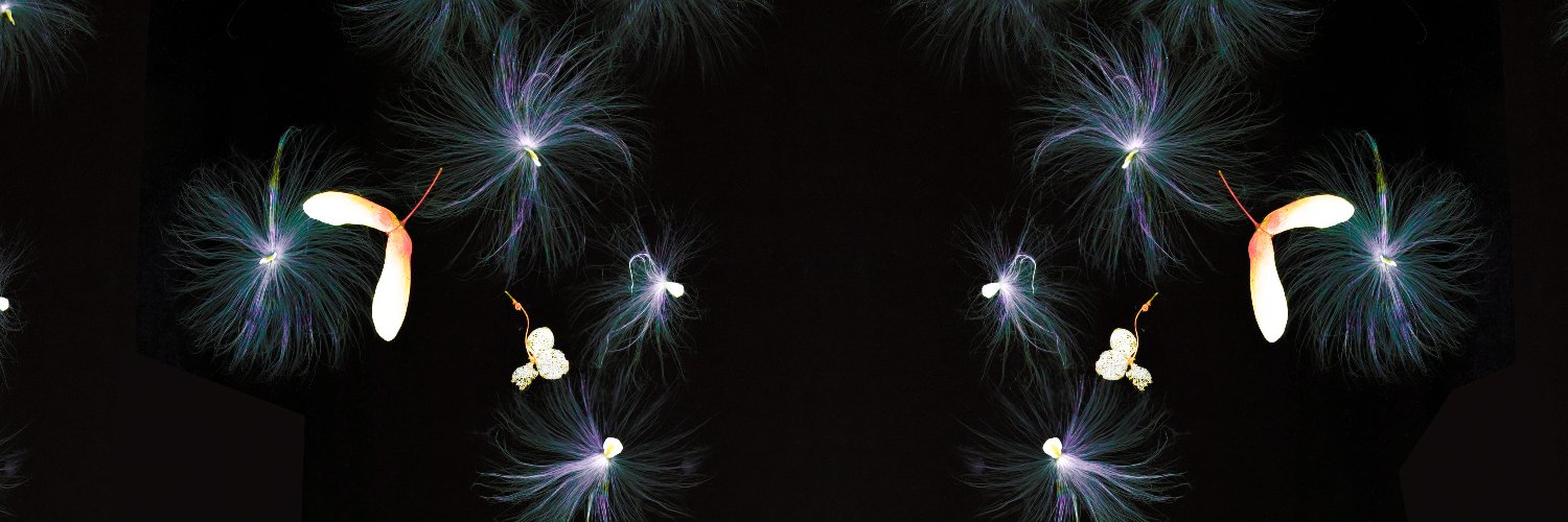 haley_xyz's profile banner image