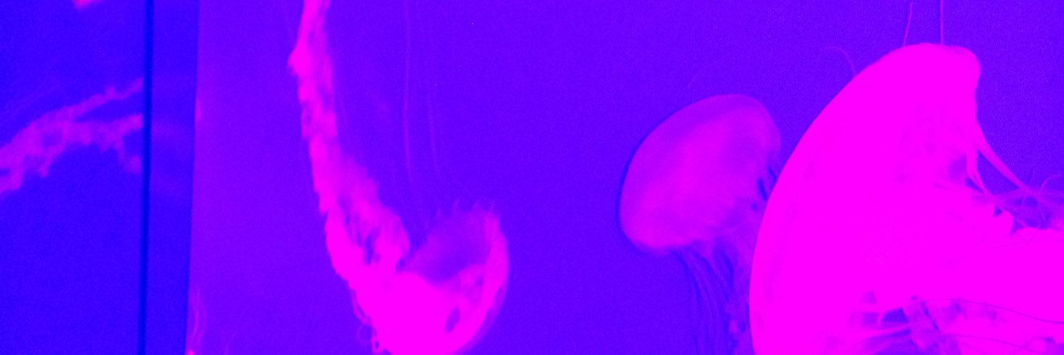 MadisonBastien3's profile banner image