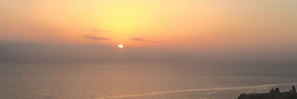 AlicePenzavalli's profile banner image