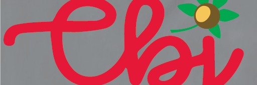 Melissa Scoville banner