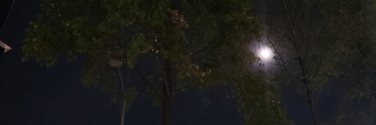 MoonSans7's profile banner image