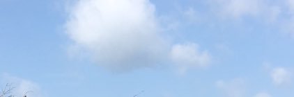 AdamRamirez00's profile banner image