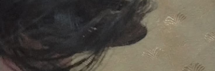 eijitwo's profile banner image