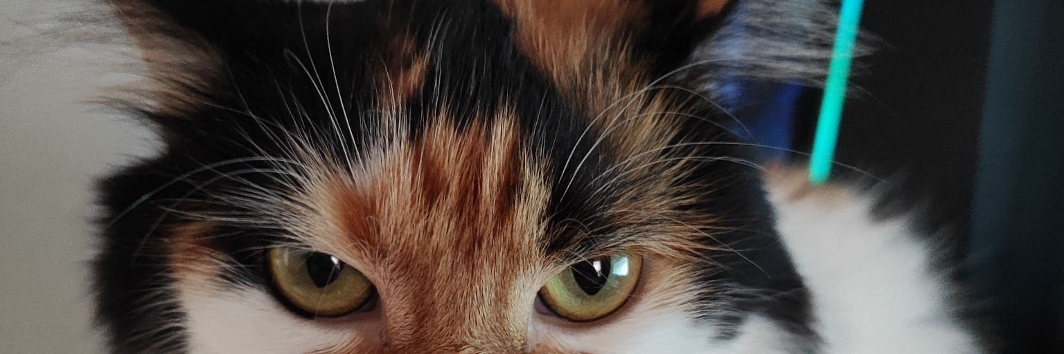 everynwandth's profile banner image