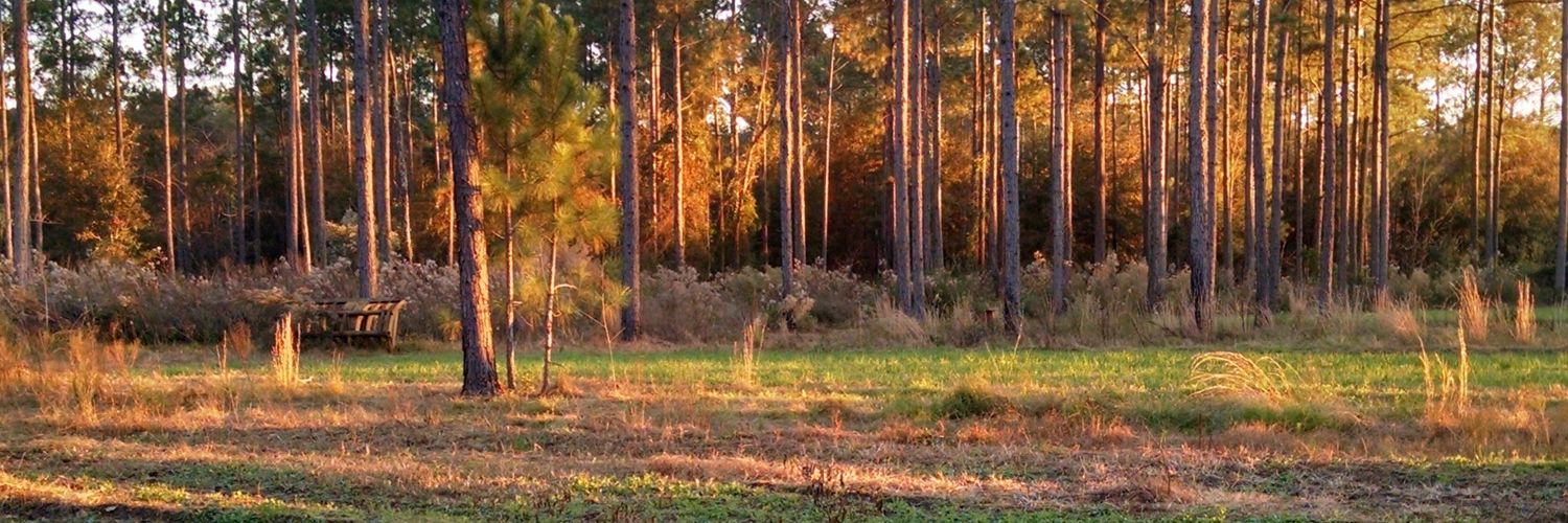 Trey Harrison banner