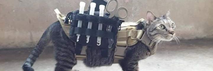 CensoredPixels banner