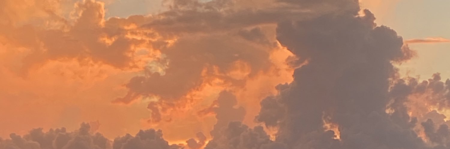 palomersss's profile banner image