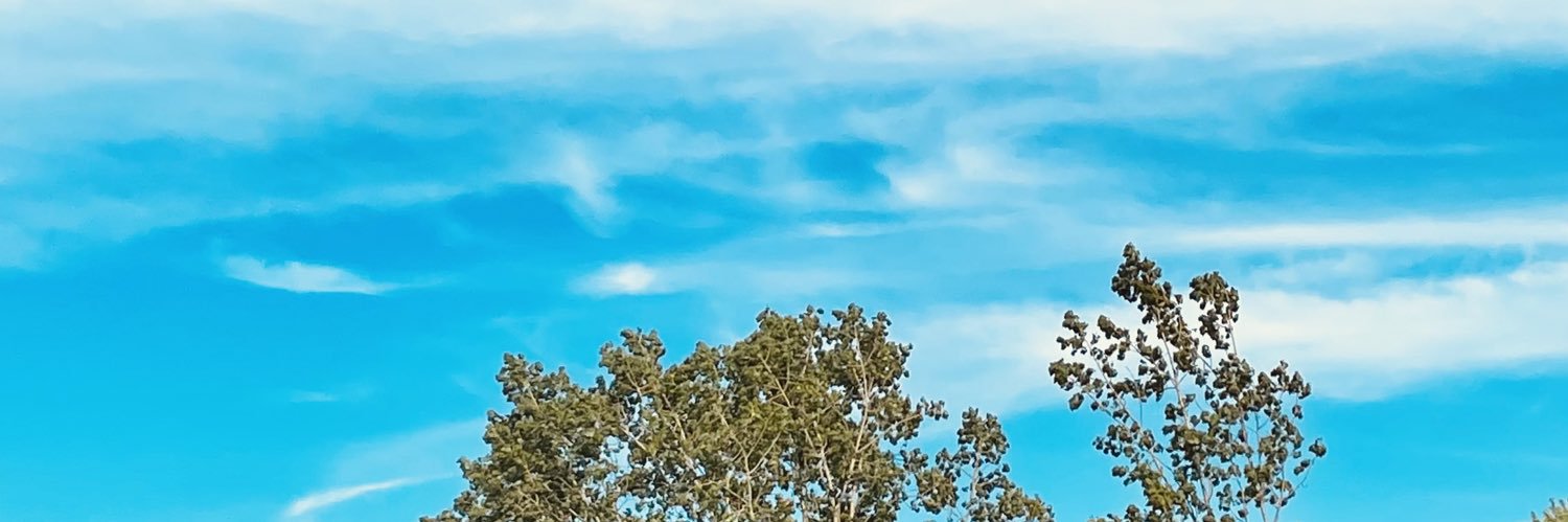 venuugopal's profile banner image
