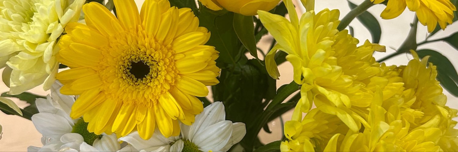 emilb457's profile banner image