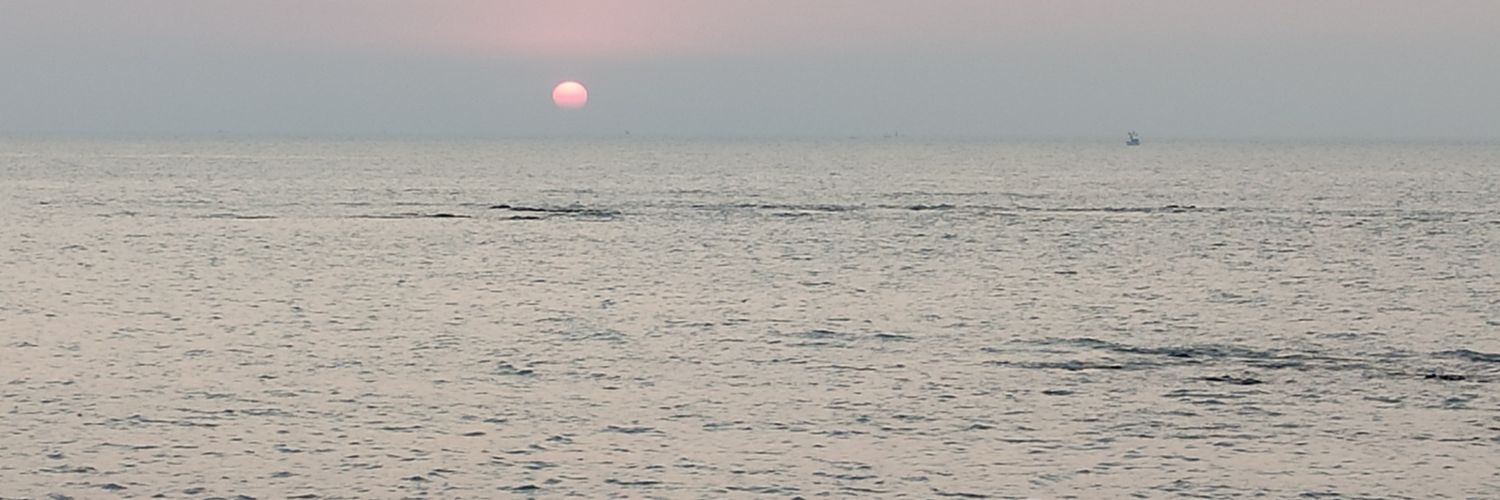 d_tejal's profile banner image