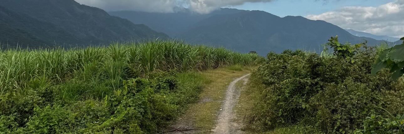 Michael Divinets banner