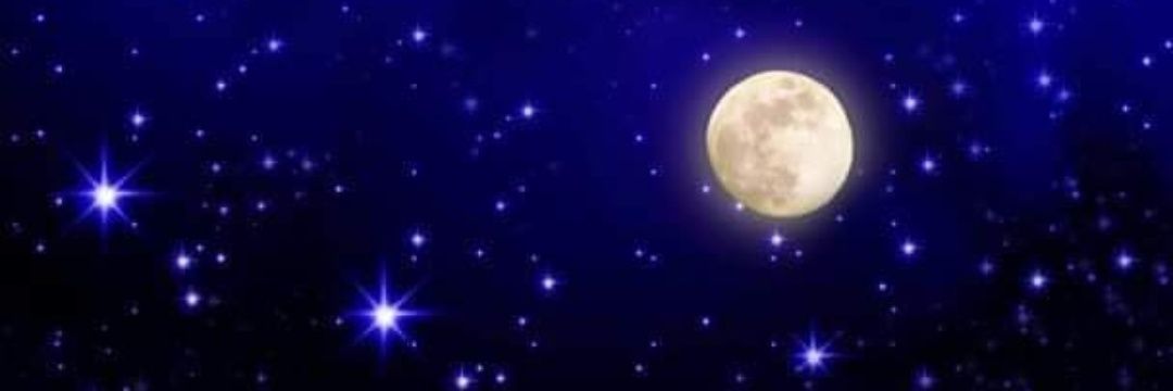 leonordelsur's profile banner image