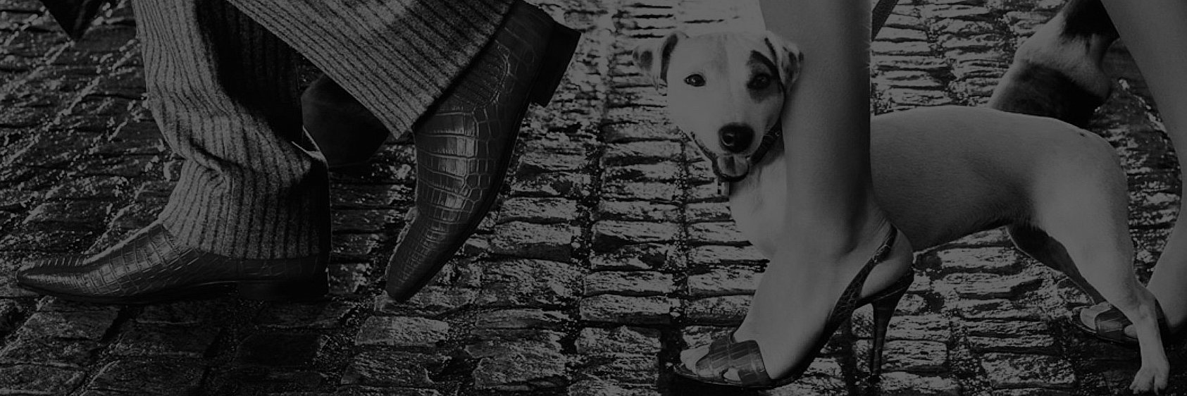StyleDollars's profile banner image