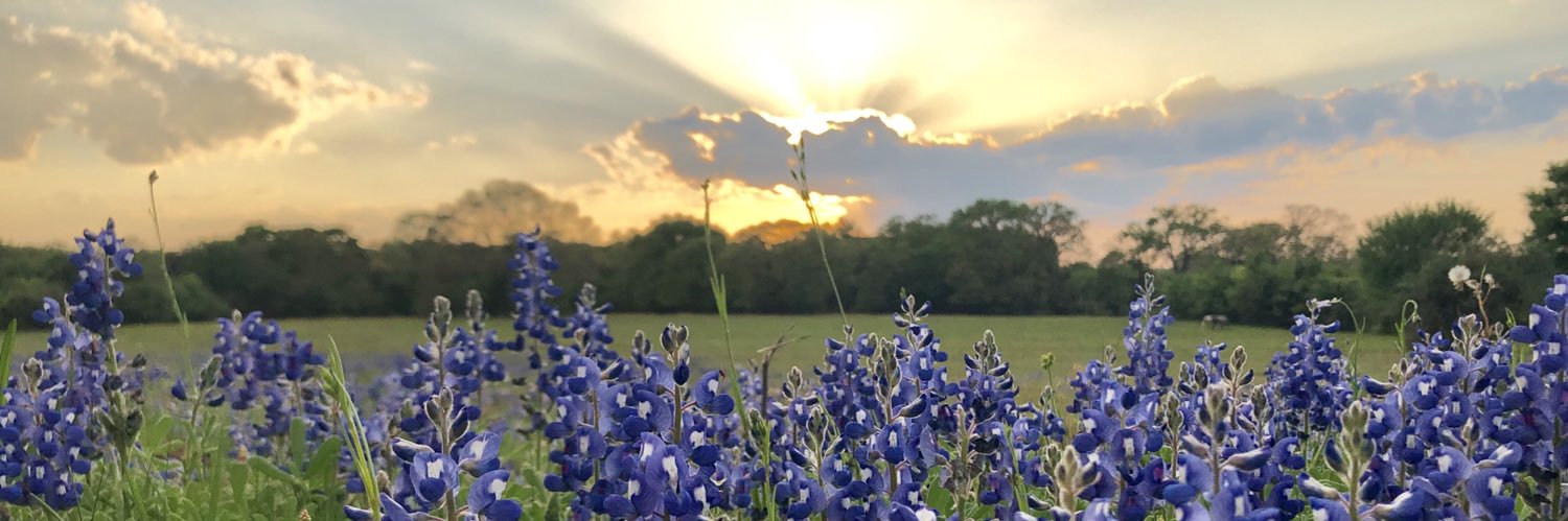 NatalieF_12's profile banner image