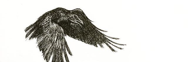 PiedCro's profile banner image