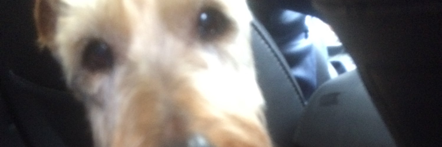 MrsWallaceREAD's profile banner image