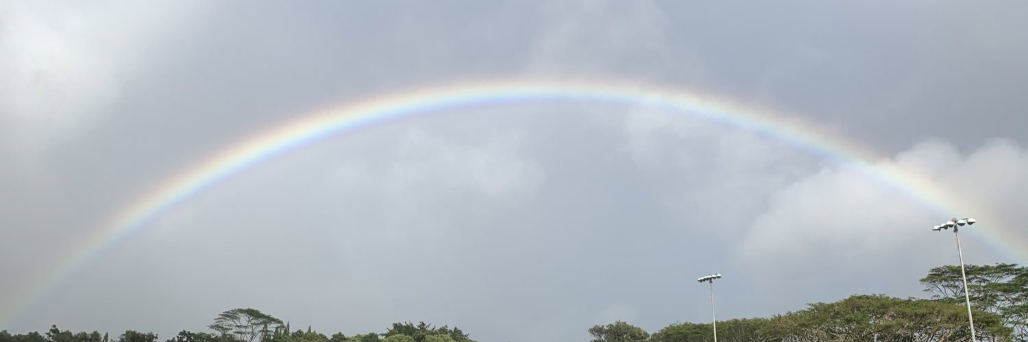 DawnTaba's profile banner image