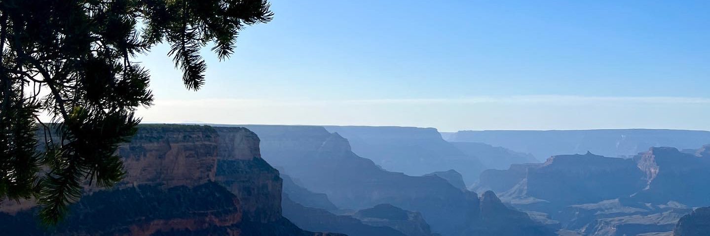 wendymfelton's profile banner image