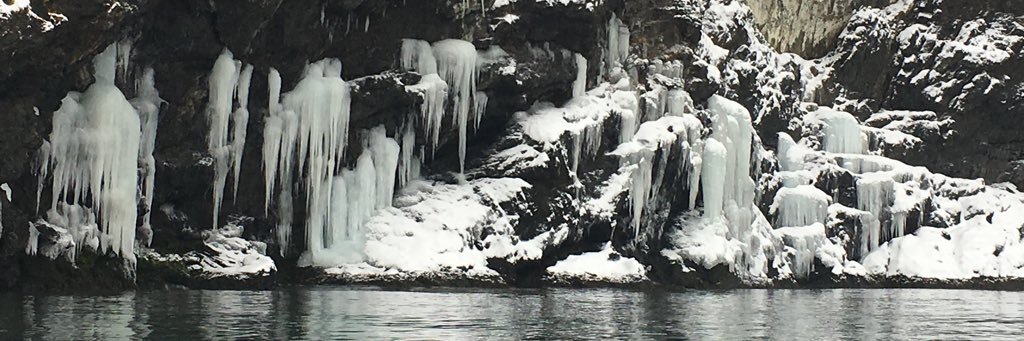 aleejcarpenter's profile banner image