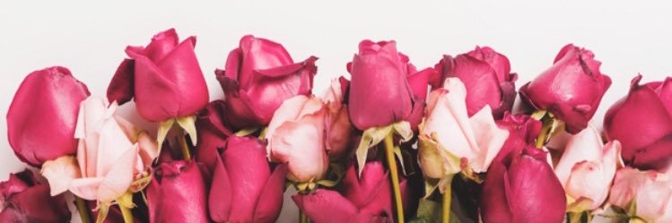 Angela_Maione banner