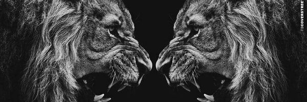 DavisGilmer Profile Banner