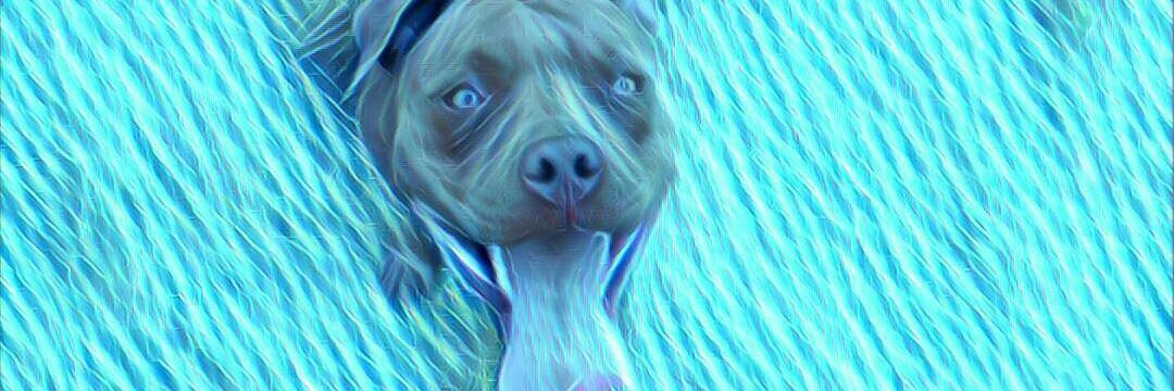 Chicharo89's profile banner image