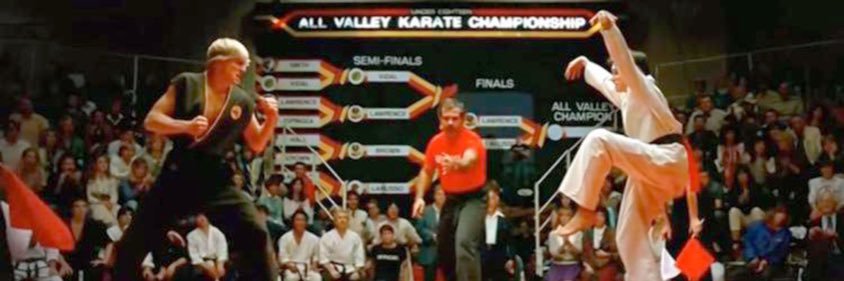 Brandon Bautista banner