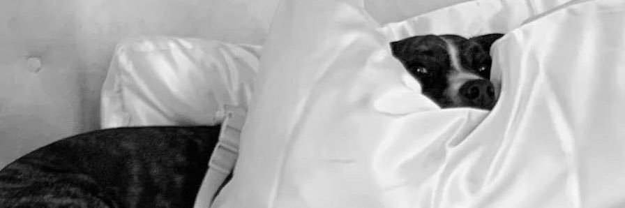 all4ari_g's profile banner image