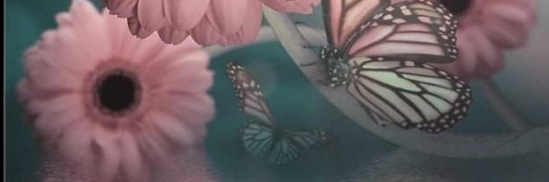 nourwt's profile banner image