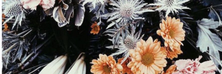 Luululu_'s profile banner image