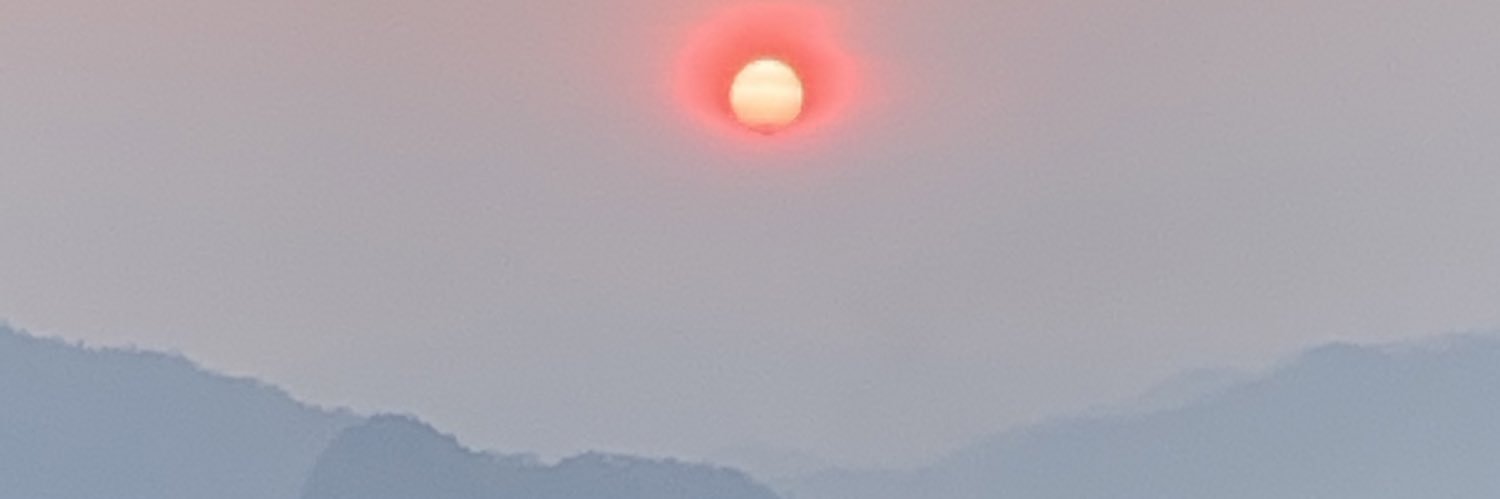 Nicolas Delnatte banner