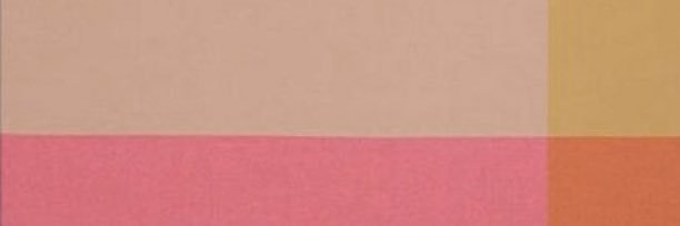 SavannahSutter's profile banner image