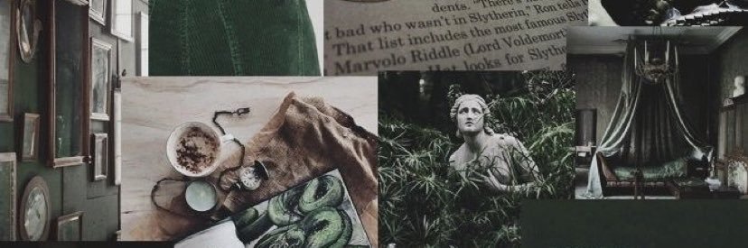 ShelbyPerry17's profile banner image