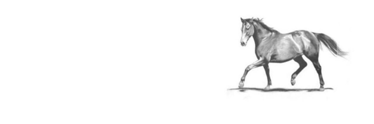 سليمان سالم الشبرمي banner