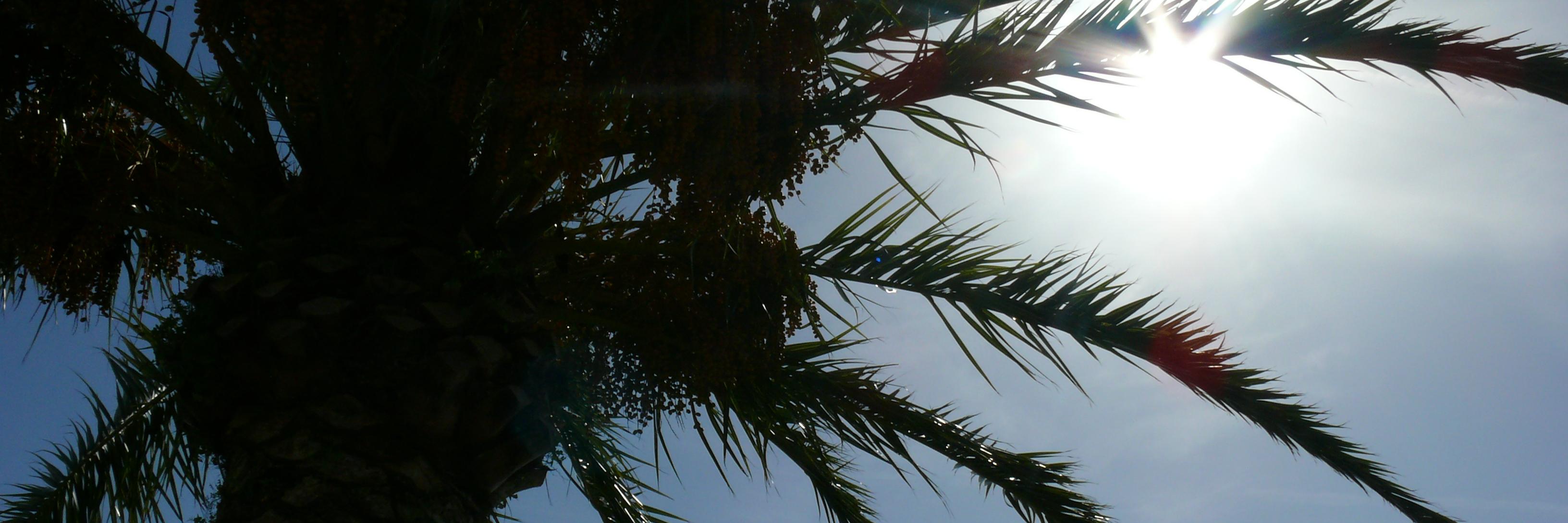 AnaGuerrero97's profile banner image