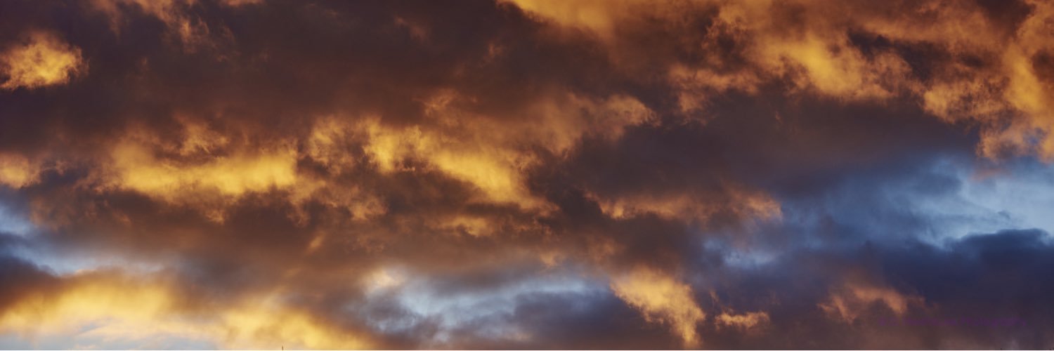 Dustin_Newhouse's profile banner image