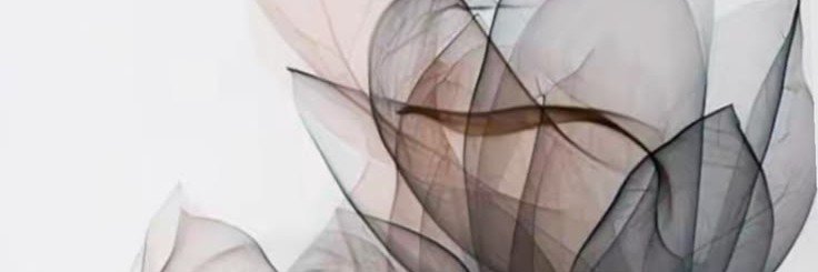 laurallerena01's profile banner image