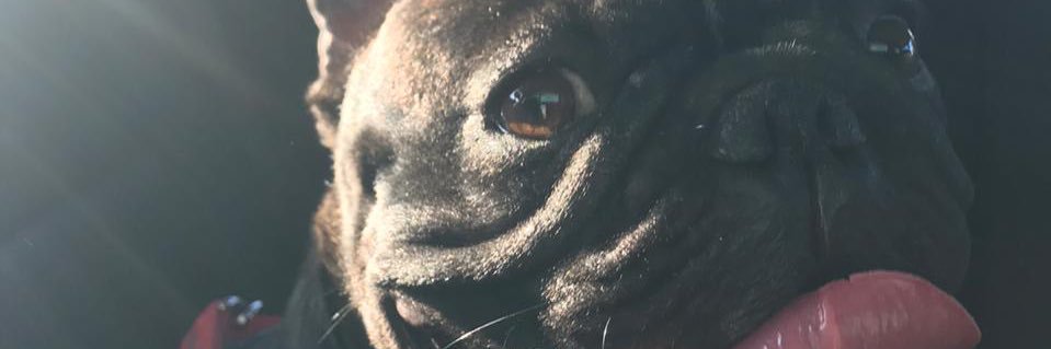 mayconcharbel's profile banner image