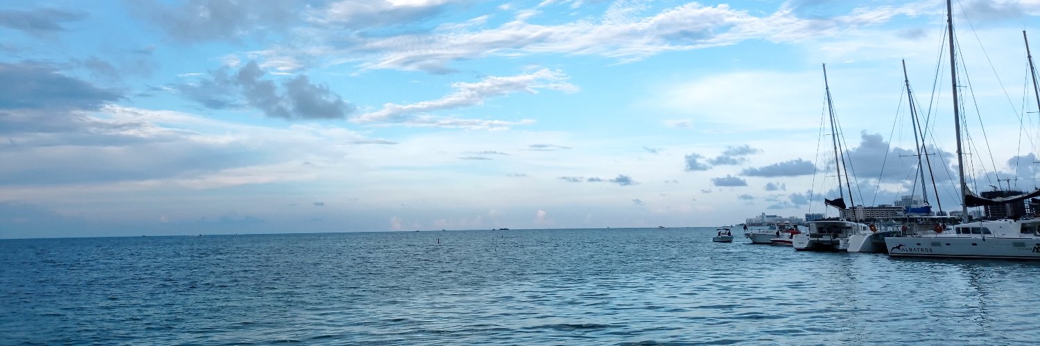 Cepinto96's profile banner image