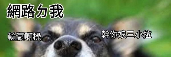 QQ_Timmy Profile Banner