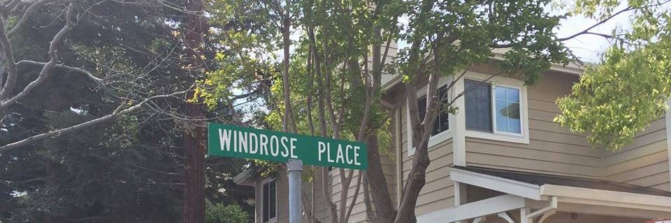 WindroseDotCA's profile banner image