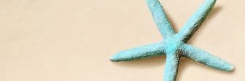 vhyna_chya's profile banner image